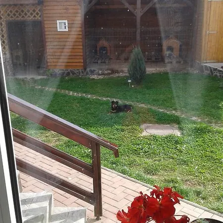Piatra Craiului 게스트하우스